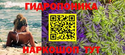 скорость Ливны