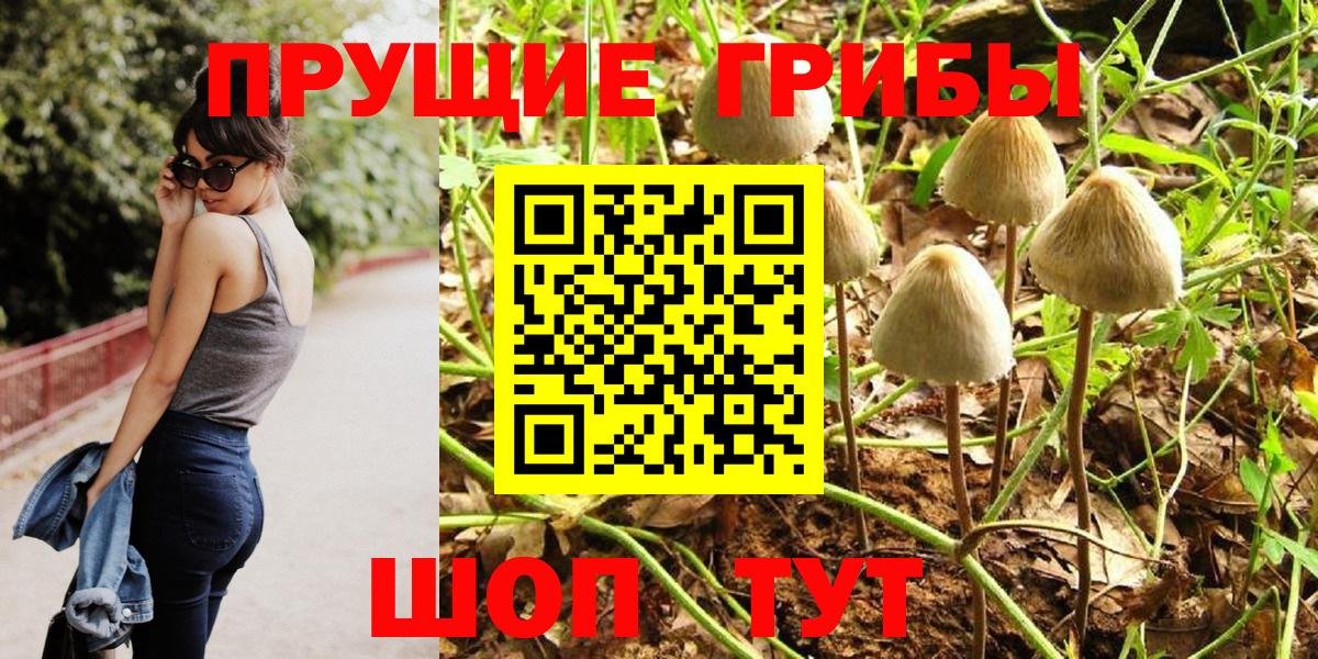 Галлюциногенные грибы GOLDEN TEACHER Донской